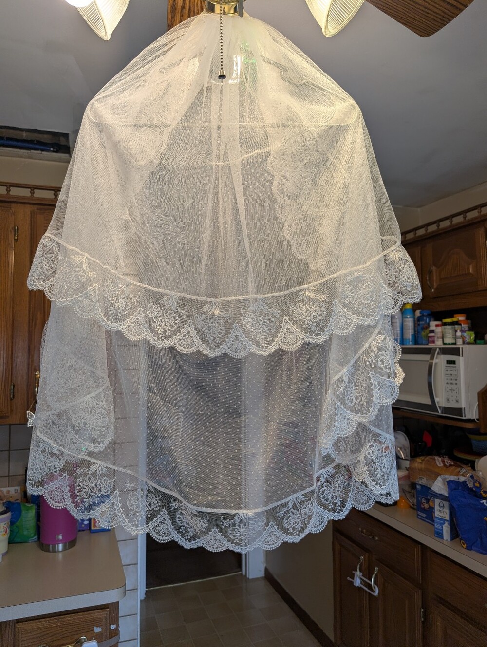 Ivory Lace-Trim Bridal Veil
